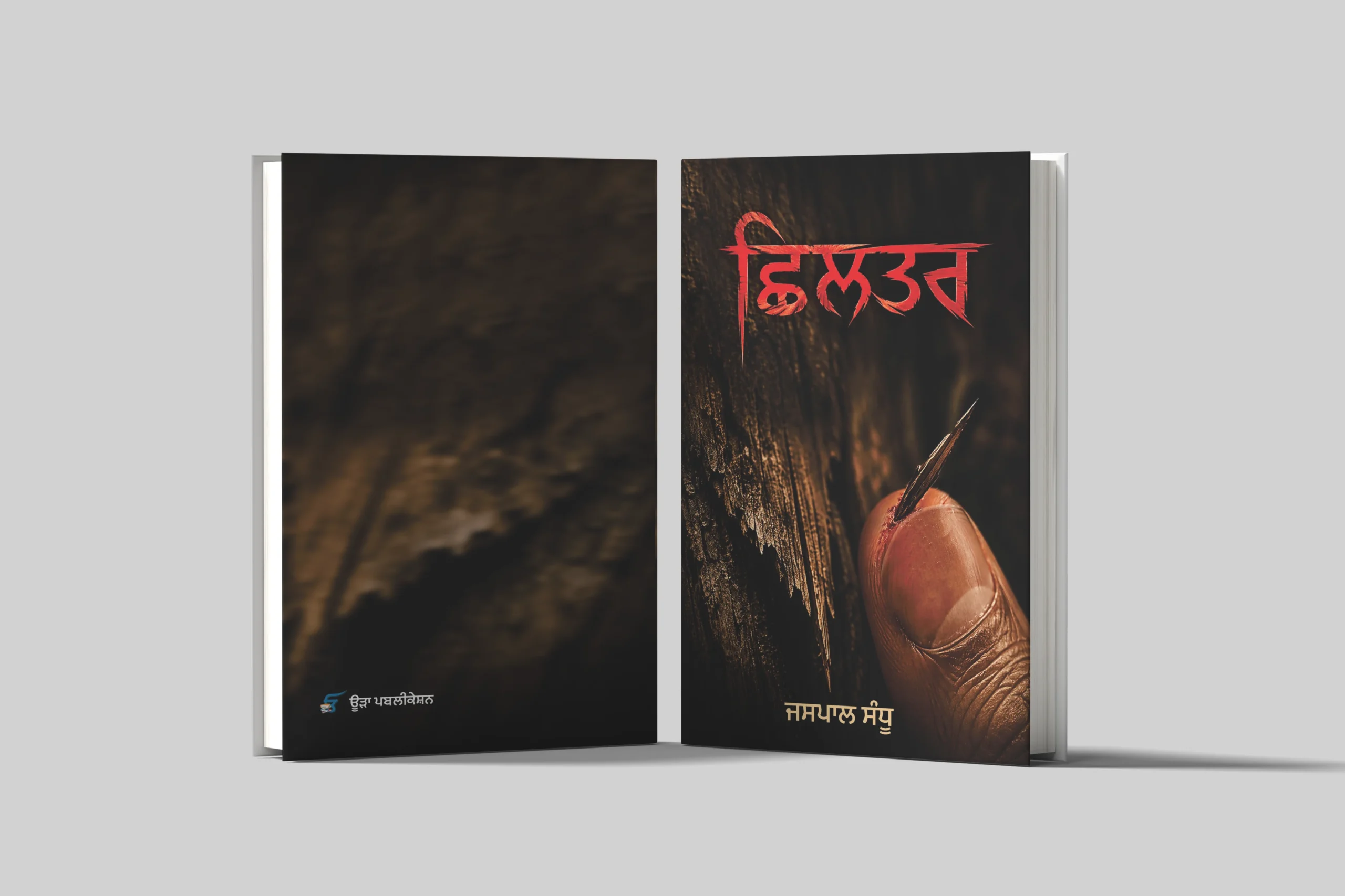 ਛਿਲਤਰ ਛਿਲਤਰ || shiltar - Image 1